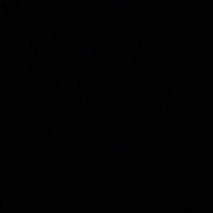 Meet your Posher, Lina